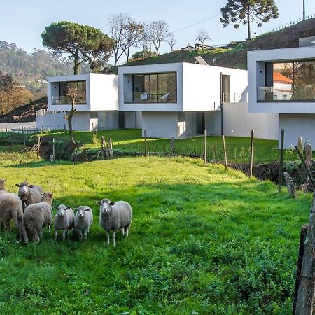 Viana Do Castelo - Amonde Village - Casa L - Disfrute Da Natureza Dış mekan fotoğraf