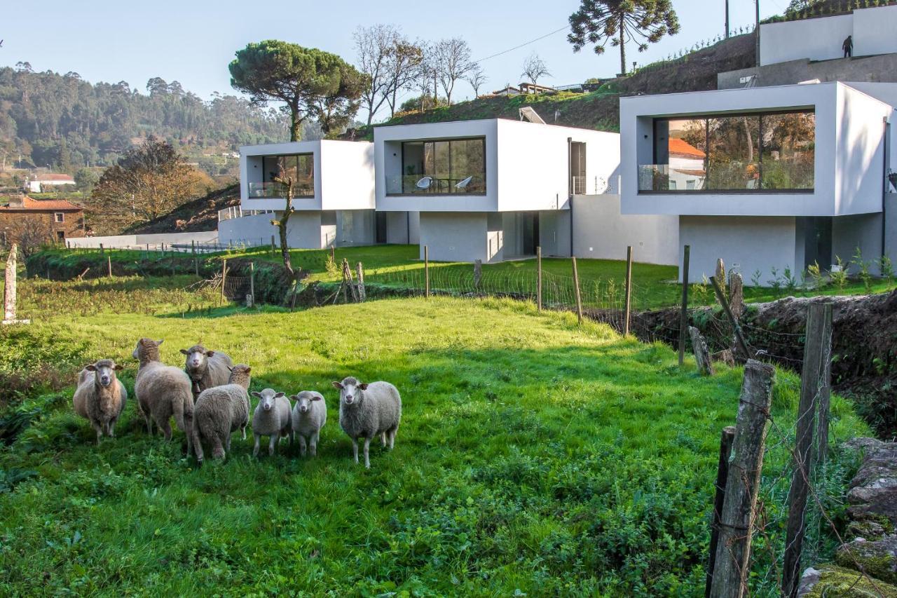 Viana Do Castelo - Amonde Village - Casa L - Disfrute Da Natureza Dış mekan fotoğraf